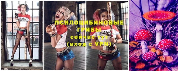 герыч Карпинск